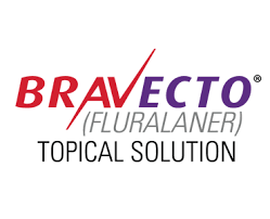 Bravecto Logo