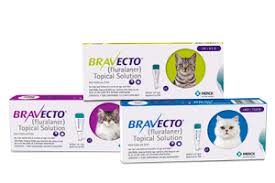 Bravecto Products