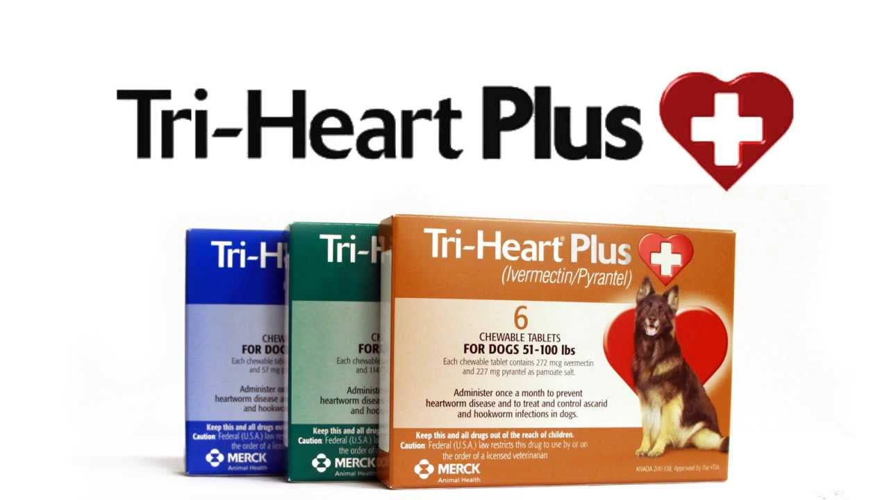 Tri-Heart Plus Products