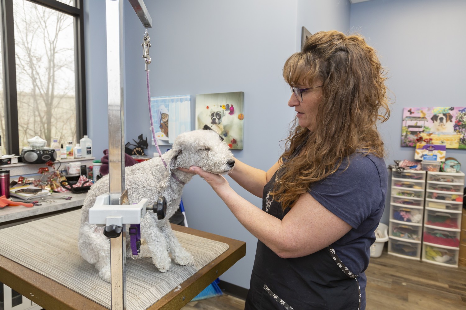 Melissa at work grooming dog