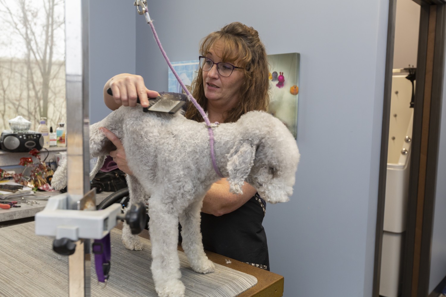 Melissa at work grooming dog