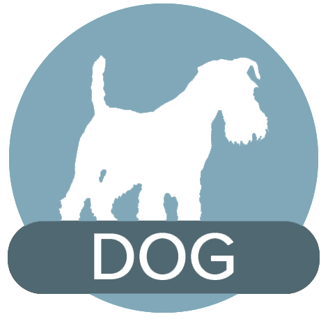 Dog Icon