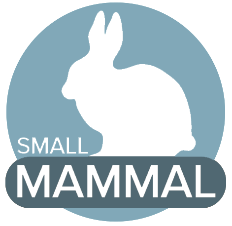 Small Mammal Icon