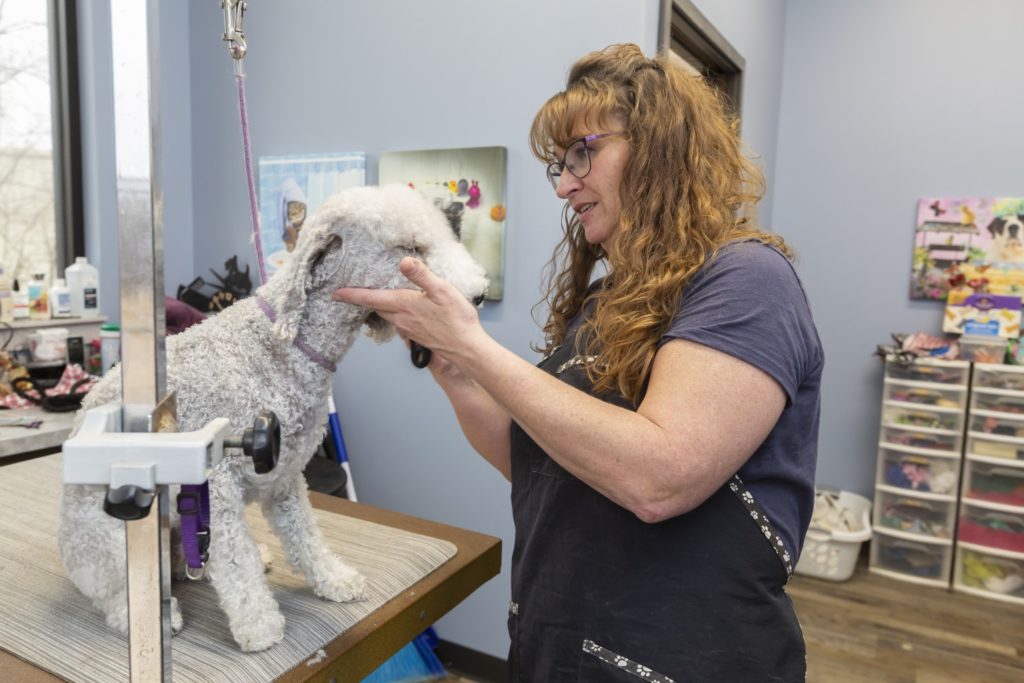 Melissa Grooming Dog