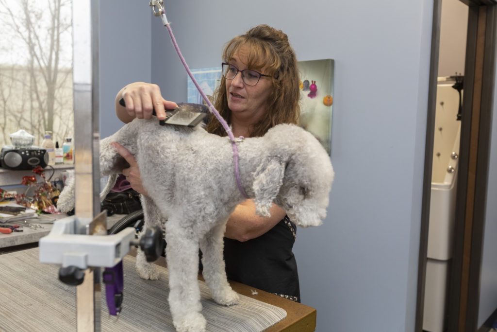 Melissa Grooming Dog