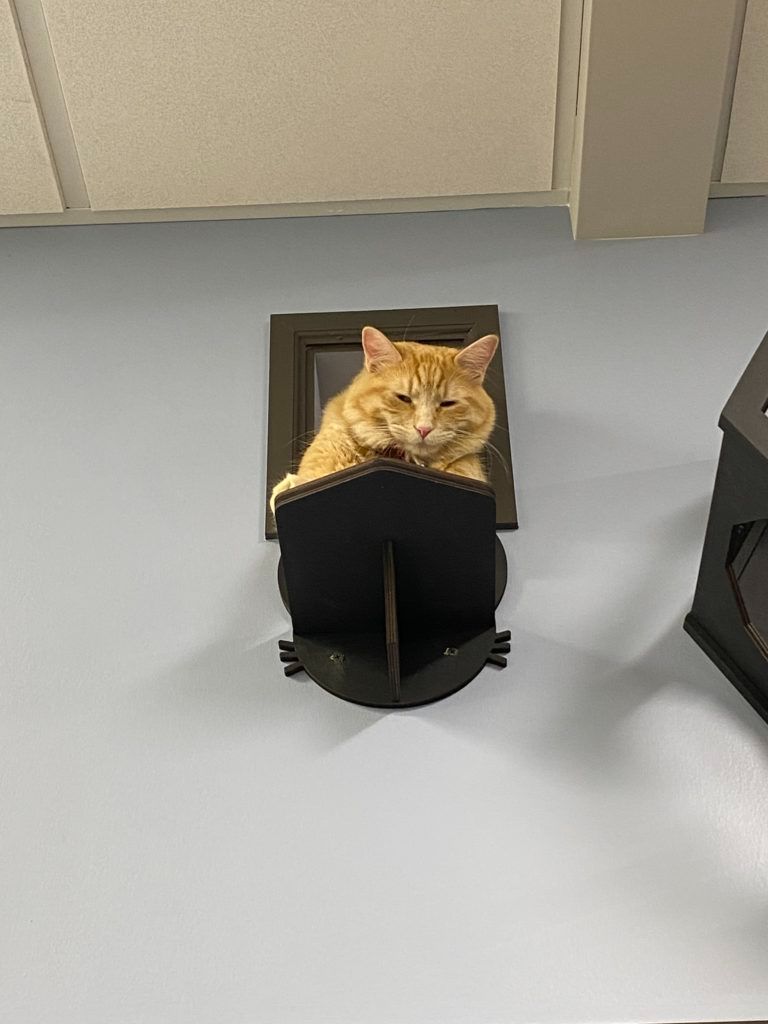 Hospital Ambassador