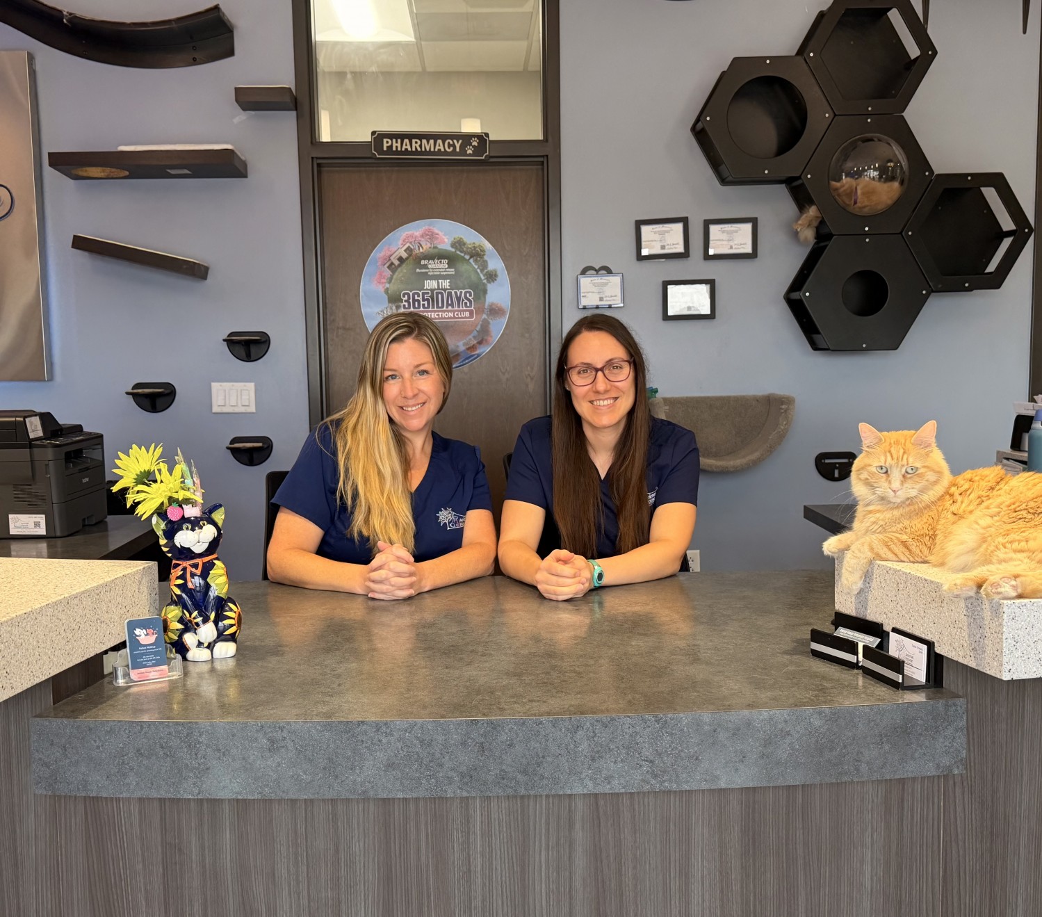 Animal House Veterinary Hospital Building