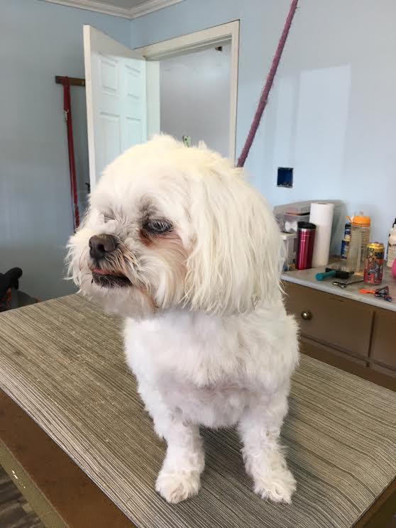 Bailey Before Bailey Before