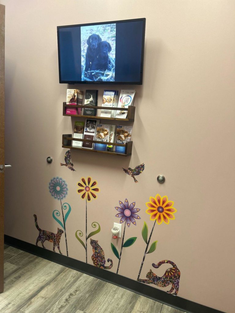 Cat Exam Room