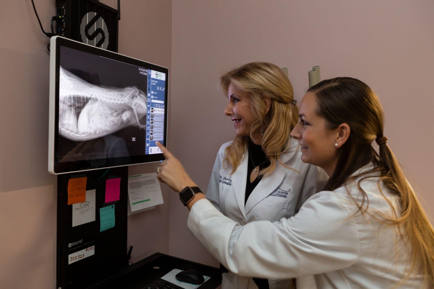 Viewing Digital X-Rays