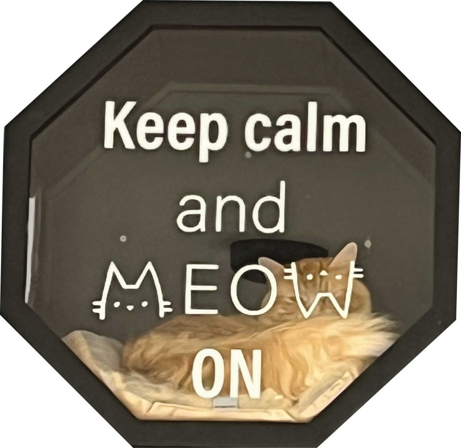 Keep Calm and Meow On