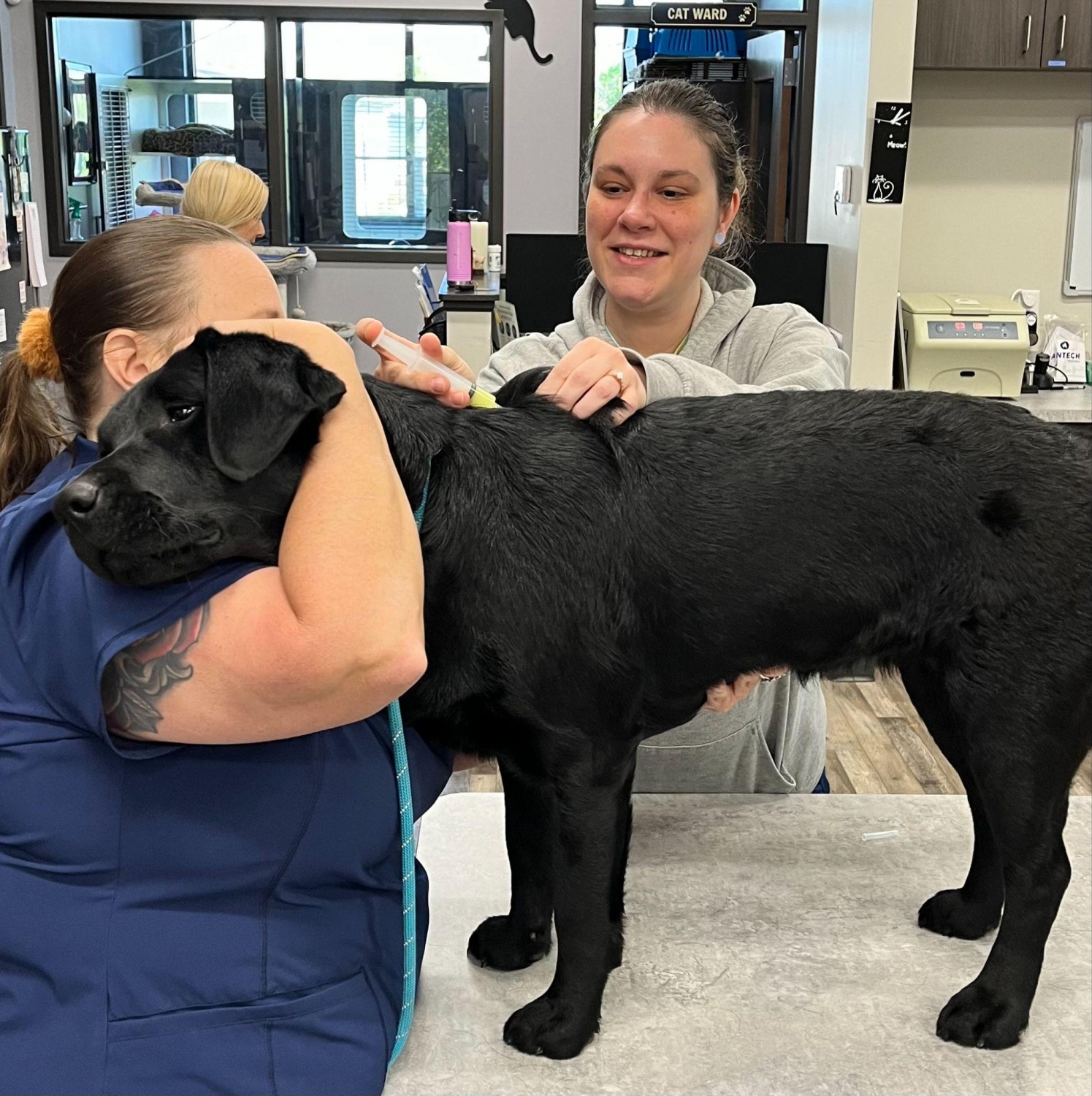 Staff with Dog