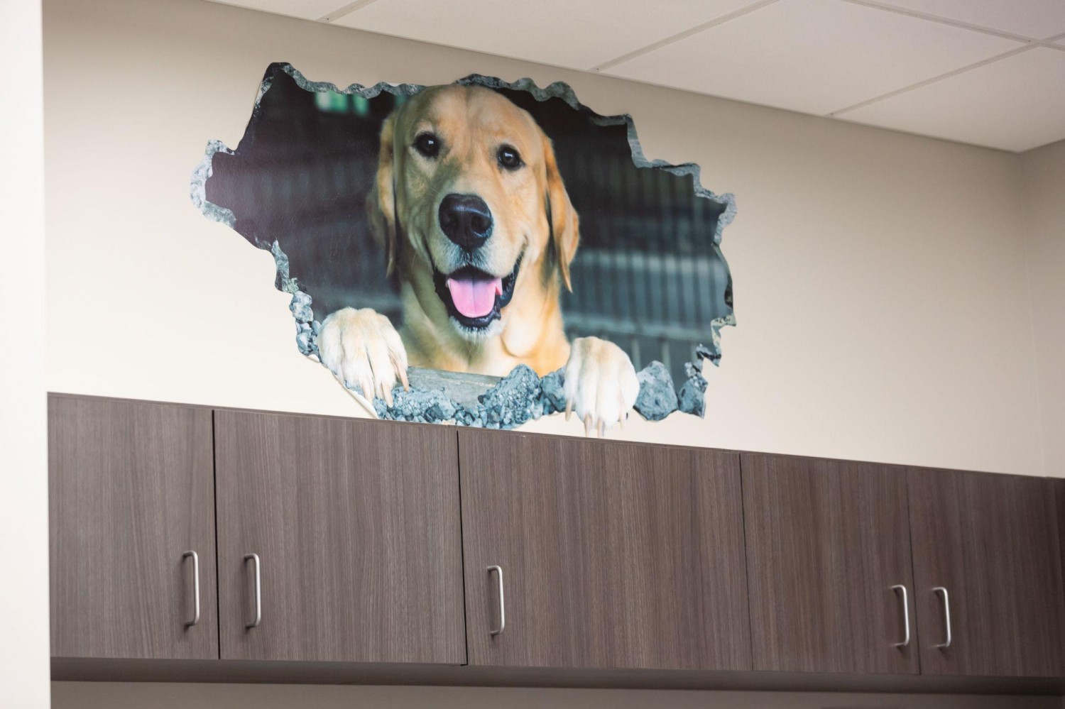 Dog Mural