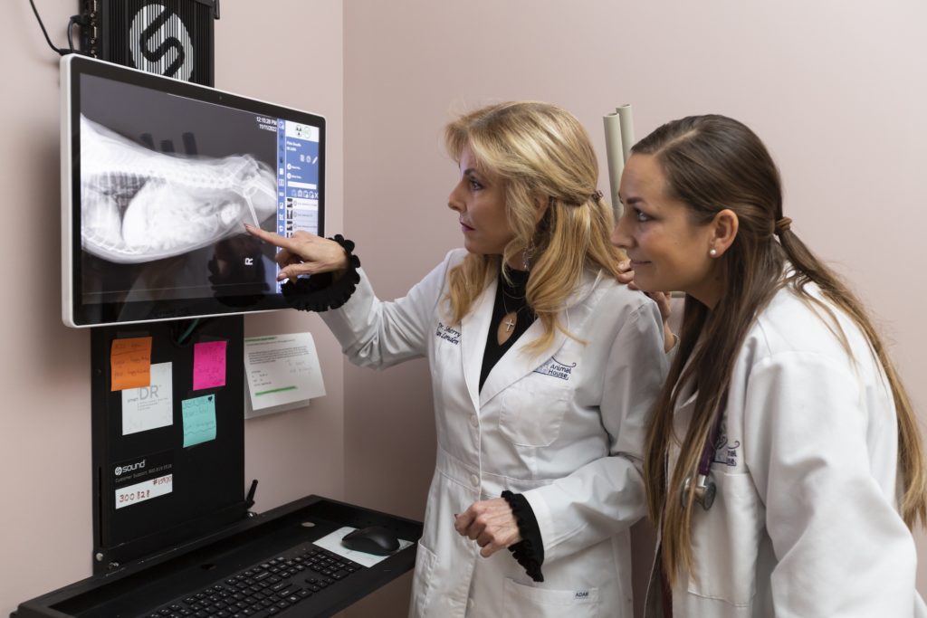 viewing x-rays