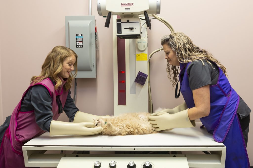 Getting an X-Ray